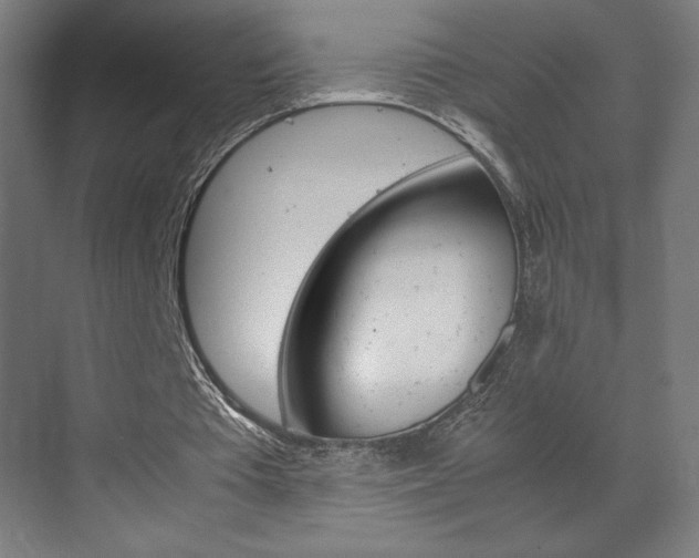 X0000072530385200607141016