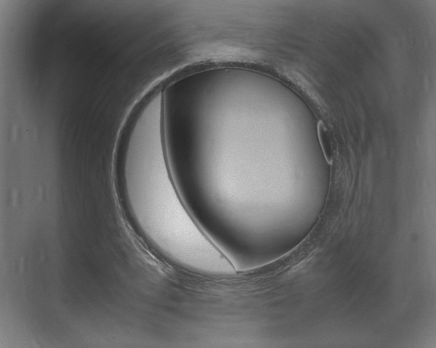 X0000072530391200607141016