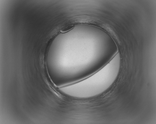 X0000072530397200607141016