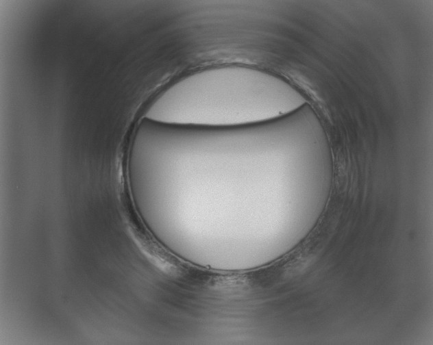 X0000072530398200607141016