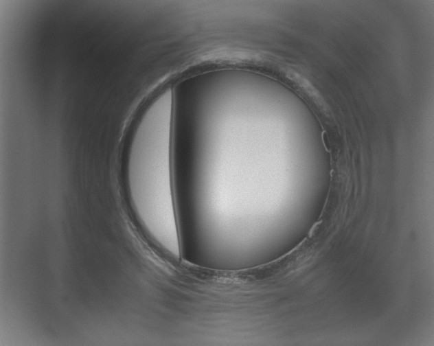 X0000072530399200607141016