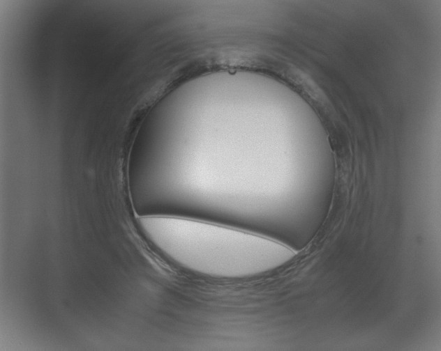 X0000072530401200607141016