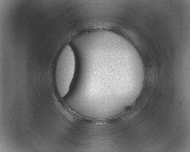 X0000072530402200607141016