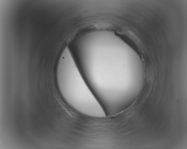X0000072530405200607141015