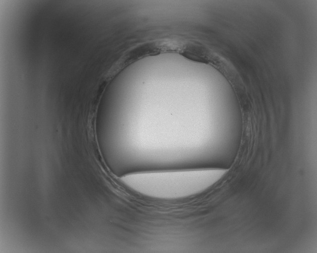 X0000072530409200607141015