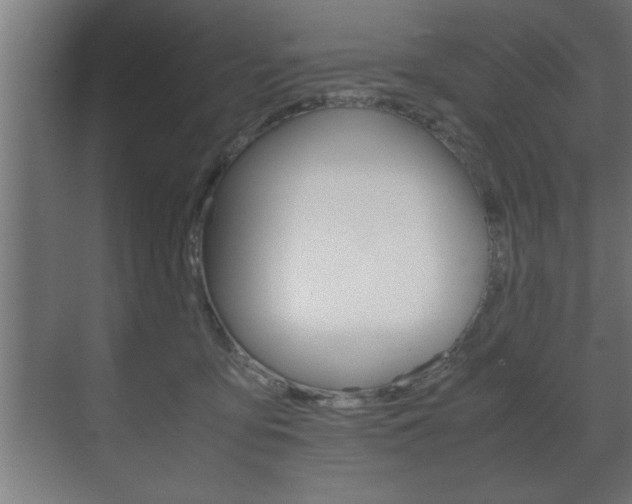 X0000072530419200607141015