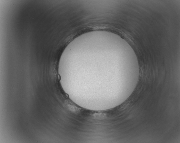 X0000072530426200607141015