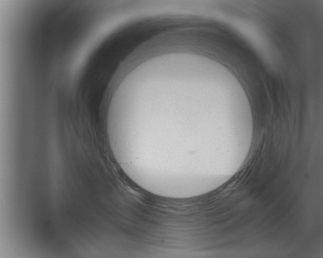 X0000072530431200607141015