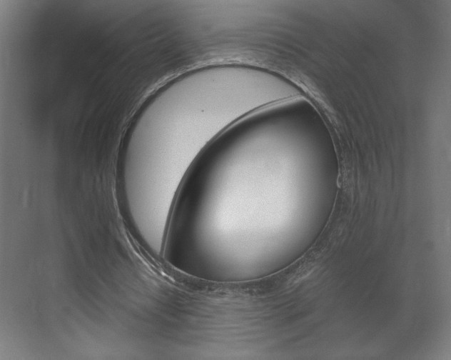 X0000072530434200607141014