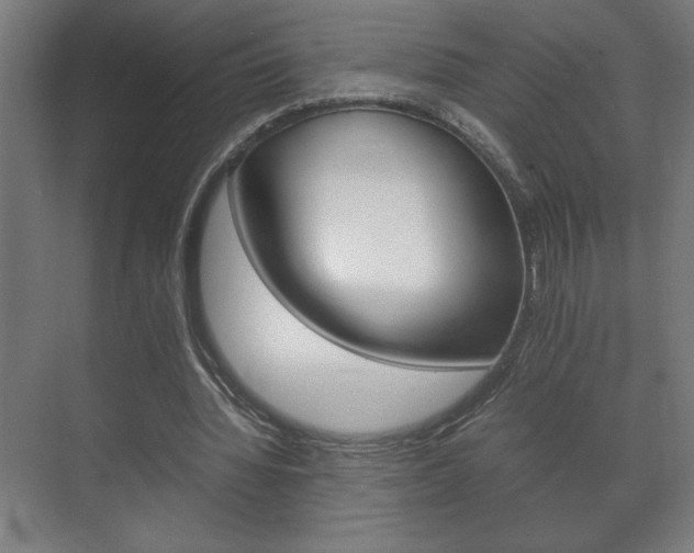 X0000072530436200607141014