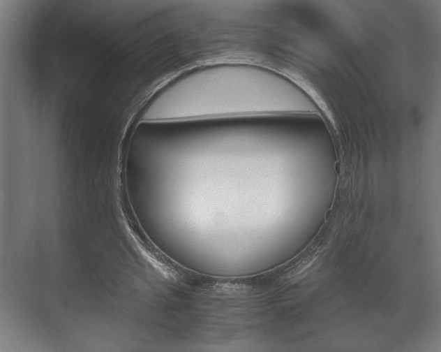 X0000072530437200607141014