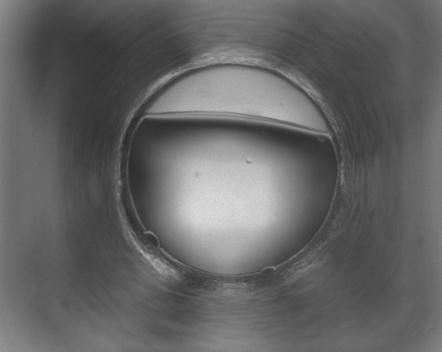 X0000072530438200607141014
