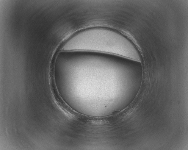 X0000072530439200607141014
