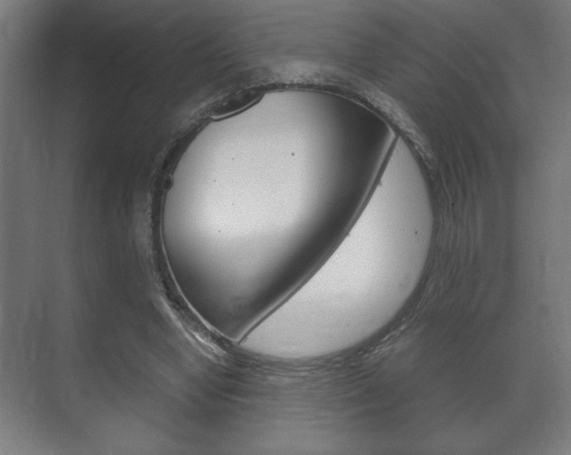 X0000072530442200607141014