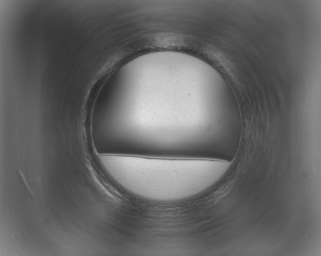 X0000072530443200607141014