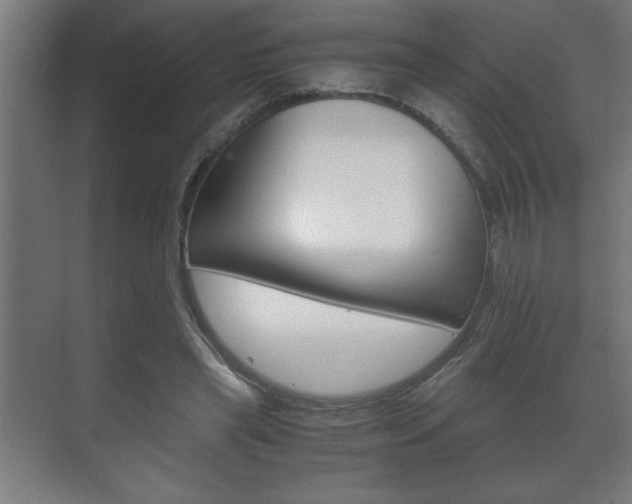 X0000072530445200607141014