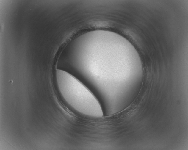 X0000072530447200607141014