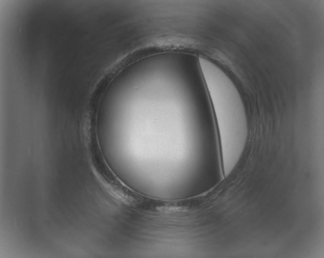 X0000072530448200607141014