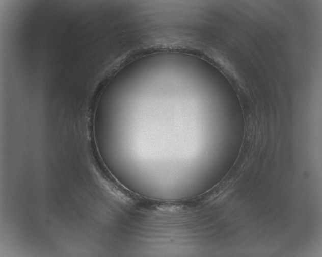 X0000072530450200607141014