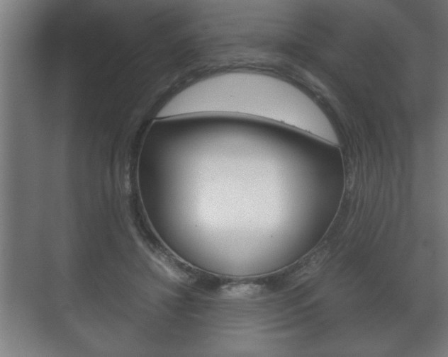 X0000072530452200607141015