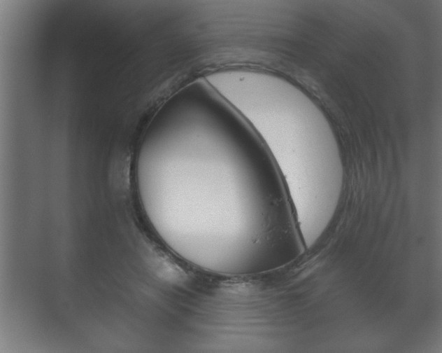 X0000072530454200607141015