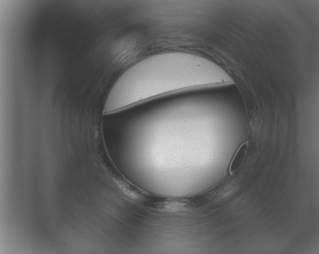 X0000072530462200607141015