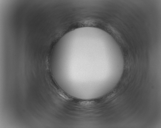 X0000072530465200607141015
