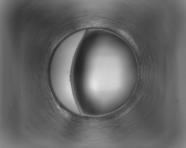 X0000072530481200607141014