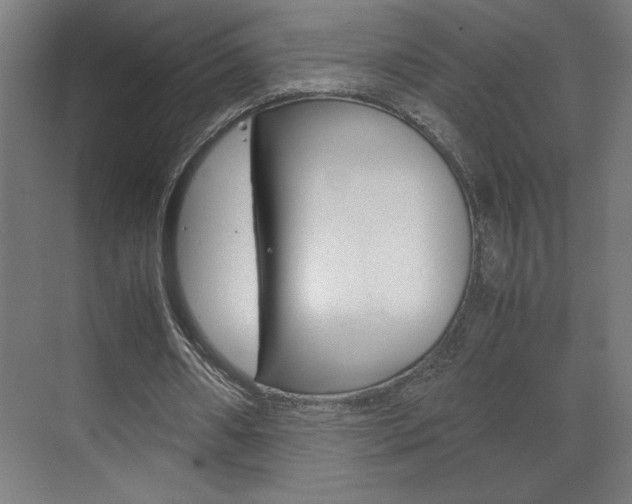 X0000072530482200607141014