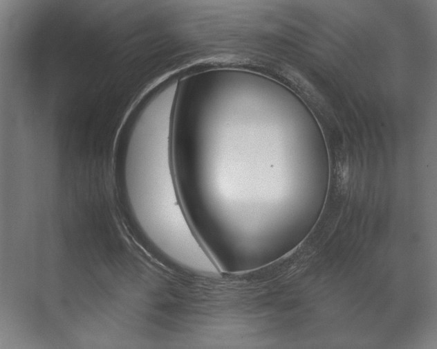 X0000072530484200607141014