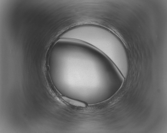 X0000072530485200607141014