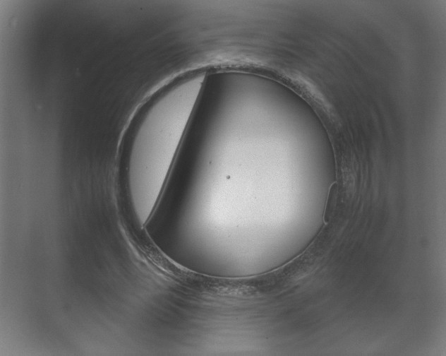 X0000072530488200607141014