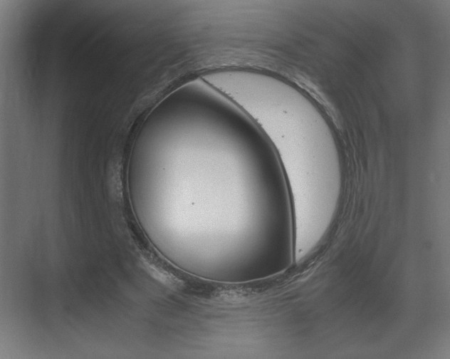 X0000072530489200607141014