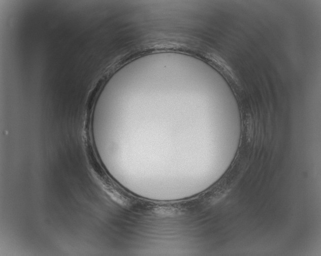 X0000072530490200607141014