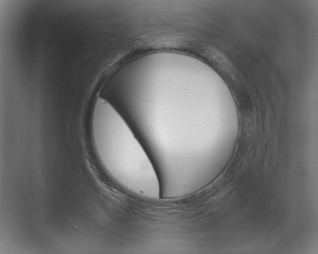 X0000072530491200607141014