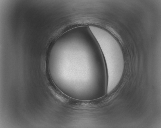 X0000072530493200607141014