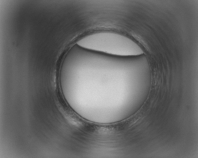X0000072530494200607141014