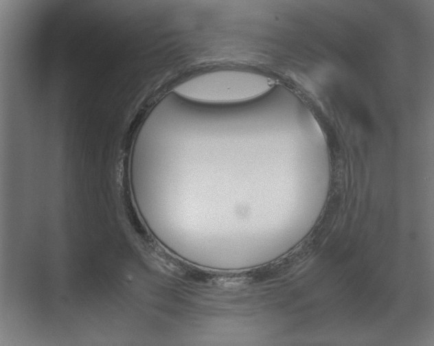 X0000072530495200607141014