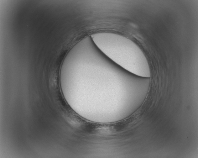 X0000072530499200607141014