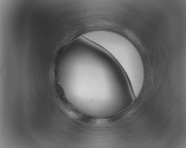 X0000072530501200607141014