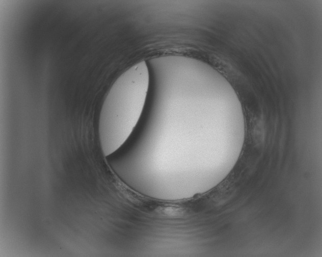 X0000072530506200607141014