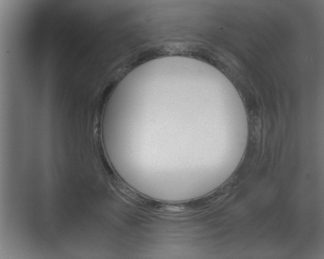 X0000072530507200607141014
