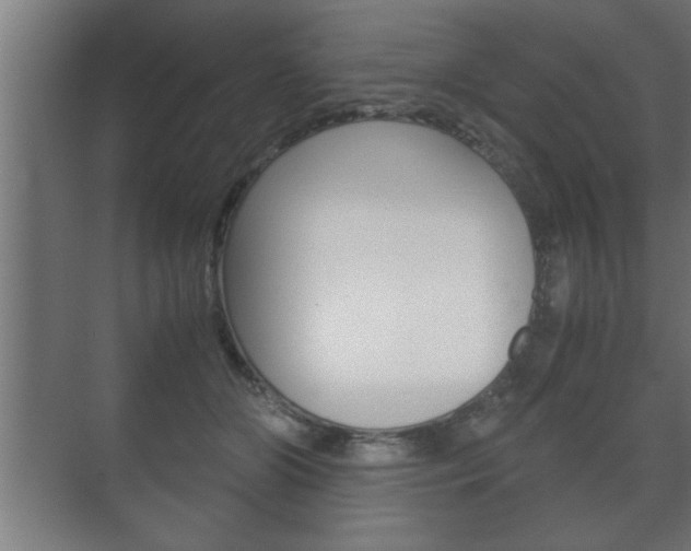 X0000072530510200607141014