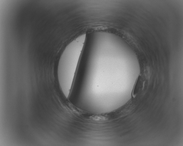 X0000072530512200607141014
