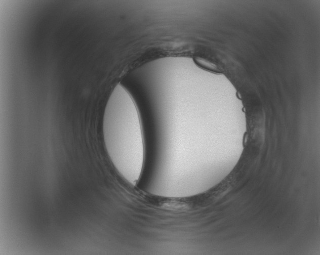 X0000072530515200607141014