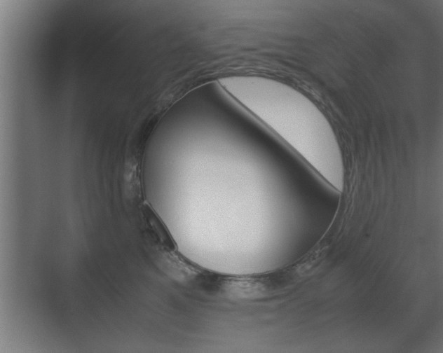 X0000072530521200607141013