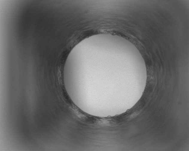 X0000072530523200607141013