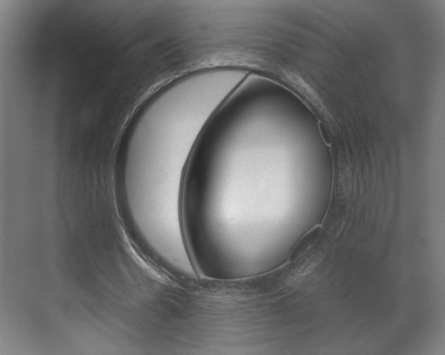 X0000072530530200607141013