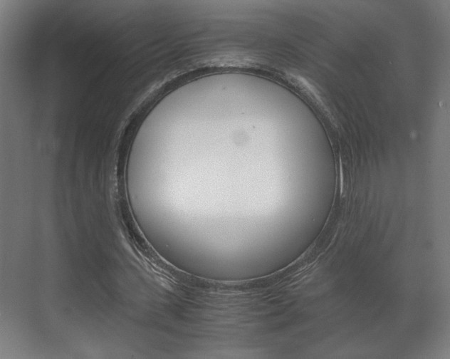 X0000072530531200607141013