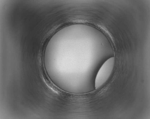 X0000072530533200607141013